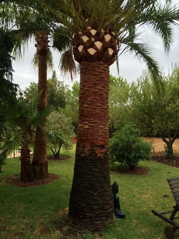 *** Pensión Jardí de Papallones Pollensa España