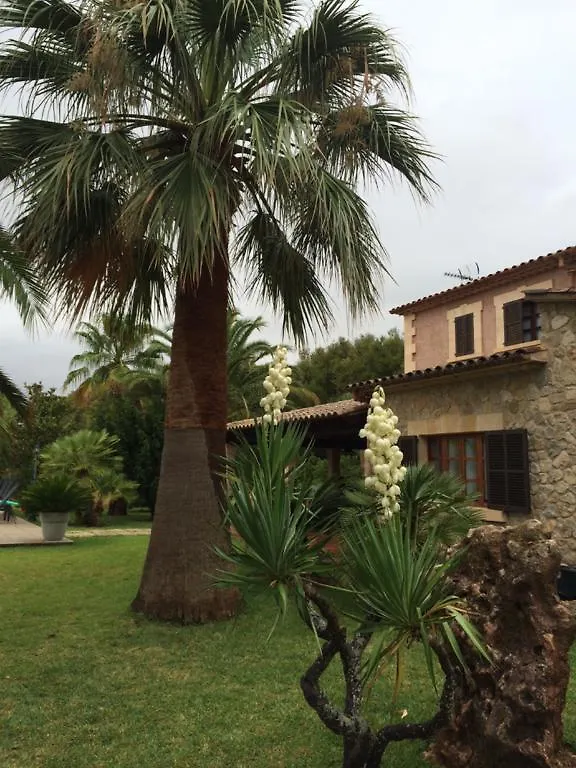 Guest house Jardi De Papallones Pollenca